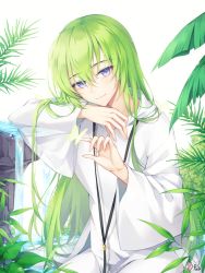 Rule 34 | 1other, closed mouth, commentary request, enkidu (fate), fate/strange fake, fate (series), green hair, hair between eyes, hood, hood down, hooded robe, long hair, long sleeves, looking at viewer, pong (vndn124), purple eyes, robe, signature, smile, solo, very long hair, water, waterfall, white robe, wide sleeves