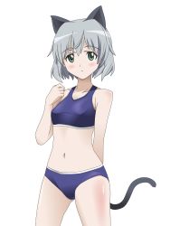 Rule 34 | 1girl, absurdres, animal ears, bad id, bad pixiv id, cat ears, cat tail, green eyes, highres, sanya v. litvyak, shiomoto, short hair, silver hair, sports bikini, strike witches, tail, transparent background, world witches series