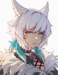 Rule 34 | 1girl, 9yuki, animal ears, brooch, cat ears, cat girl, cleavage cutout, clothing cutout, commentary, facial mark, feather hair ornament, feathers, final fantasy, final fantasy xiv, fur trim, grey eyes, hair ornament, highres, jewelry, looking at viewer, miqo&#039;te, portrait, short hair, solo, tan, white hair, y&#039;shtola rhul