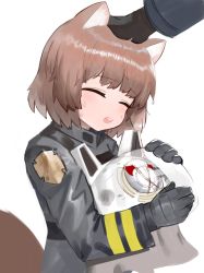 Rule 34 | 1girl, 1other, animal ears, animal ears helmet, arknights, bad id, bad pixiv id, blush, brown hair, closed eyes, commentary request, dokomon, fake animal ears, fire helmet, firefighter jacket, grey jacket, headpat, unworn headwear, helmet, unworn helmet, highres, holding, holding helmet, jacket, open mouth, out of frame, shaw (arknights), short hair, simple background, squirrel ears, squirrel girl, squirrel tail, sweat, tail, teeth, upper body, upper teeth only, white background, white headwear