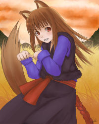 Rule 34 | 00s, animal ears, brown eyes, brown hair, holo, open mouth, signature, solo, spice and wolf, tail, wolf ears, wolf tail, yukihiro