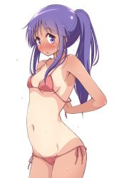 Rule 34 | 1girl, adjusting clothes, adjusting swimsuit, armpits, arms behind back, bikini, blush, breasts, cameltoe, collarbone, commentary, cowboy shot, embarrassed, flying sweatdrops, full-face blush, hinata yukari, long hair, looking at viewer, mel (melty pot), navel, one-piece tan, open mouth, ponytail, purple eyes, purple hair, red bikini, side-tie bikini bottom, sidelocks, simple background, small breasts, solo, standing, stomach, string bikini, sweat, swimsuit, tan, tanline, untied bikini, white background, yuyushiki