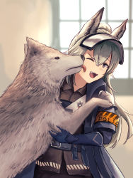Rule 34 | 1girl, ;d, absurdres, animal, animal ears, arknights, armband, blue gloves, coat, commentary request, dog, gauntlets, gloves, grani (arknights), grey hair, highres, horse ears, licking, long hair, looking at viewer, one eye closed, open mouth, police, police uniform, purple eyes, smile, solo, uniform, upper body, uzurako, visor cap, weapon