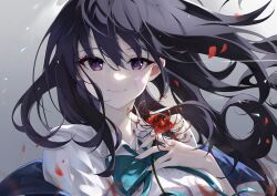Rule 34 | 1girl, a yue, absurdres, black hair, blurry, bow, bowtie, closed mouth, collared shirt, commentary, depth of field, falling petals, fingernails, floating hair, flower, gauze, green bow, green bowtie, hair between eyes, highres, holding, holding flower, inoue takina, long hair, looking at viewer, lycoris recoil, nail polish, petals, pink nails, purple eyes, shirt, simple background, smile, solo, spider lily, upper body, white shirt