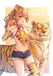 Rule 34 | 1girl, 2022, aisaka taiga, animal, animal ears, animal hands, animal print, bare shoulders, blush, bow, bowtie, breasts, brown hair, chinese clothes, chinese zodiac, claw pose, denim, denim shorts, dudou, facial mark, fangs, gloves, high ponytail, highleg, highleg panties, highres, long hair, looking at viewer, navel, nekoymio, open fly, open mouth, panties, paw gloves, pink bow, pink bowtie, print legwear, print panties, print thighhighs, short shorts, shorts, single thighhigh, small breasts, tail, thighhighs, tiger, tiger ears, tiger paws, tiger print, tiger tail, toradora!, unbuttoned, underwear, year of the tiger