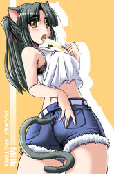 Rule 34 | animal ears, ass, bad id, bad pixiv id, blouse, cat ears, cat girl, cat tail, english text, eyebrows, food, fur (clothing), green hair, midriff, milk (tonpuu), original, parted bangs, ponytail, popsicle, shirt, short shorts, shorts, simple background, solo, tail, thick eyebrows, tonpuu, white shirt, yellow background, yellow eyes