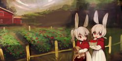 Rule 34 | 2girls, animal ears, bad id, bad twitter id, bag, dress, eating, fence, food, food on face, fruit, garden, hair between eyes, highres, holding, long sleeves, low twintails, mouth hold, multiple girls, original, outdoors, poncho, ponytail, rabbit ears, rabbit girl, shirokujira, short twintails, strawberry, tree, twintails, white dress, white hair