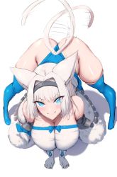 Rule 34 | 1girl, all fours, animal ear fluff, animal ears, ass, bare shoulders, bent over, blue eyes, blue leotard, blue ribbon, blue thighhighs, blush, breasts, cat ears, cat girl, cat tail, cleavage, detached sleeves, dobrynya nikitich (fate), elbow gloves, eyes visible through hair, fate/grand order, fate (series), from above, fur trim, gloves, hair intakes, hair ornament, hairband, highleg, highleg leotard, highres, large breasts, leotard, looking at viewer, low ponytail, ribbon, shiroshisu, simple background, skindentation, smile, solo, strapless, tail, tail wagging, thighhighs, thighs, top-down bottom-up, tube top, wedgie, white background, white gloves, white hair