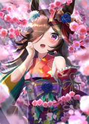 Rule 34 | 1girl, absurdres, alternate costume, animal ears, animal print, bare shoulders, blue flower, blue rose, blush, branch, brown hair, cherry blossoms, commentary request, cowboy shot, detached sleeves, floral print, flower, hair flower, hair ornament, hair over one eye, hair ribbon, highres, horse ears, horse girl, horseshoe ornament, japanese clothes, kimono, long hair, long sleeves, looking at viewer, multicolored clothes, multicolored kimono, obi, petals, purple eyes, purple kimono, red ribbon, ribbon, rice shower (umamusume), rose, sash, sleeveless, sleeveless kimono, smile, solo, umamusume, wanderlucia, wide sleeves