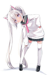 Rule 34 | 1girl, absurdres, animal ear fluff, animal ears, black footwear, black sailor collar, black skirt, blush, cat ears, closed mouth, full body, hair between eyes, hand on own hip, highres, leaning to the side, loafers, long hair, long sleeves, original, pink neckwear, pleated skirt, purple eyes, sailor collar, school uniform, serafuku, shadow, shirt, shoes, silver hair, siragagaga, skirt, sleeves past wrists, solo, standing, thighhighs, twintails, very long hair, white background, white shirt, white thighhighs