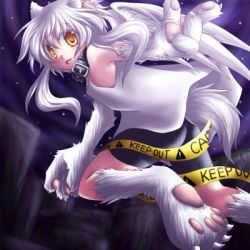 Rule 34 | 1girl, animal ears, caution tape, claws, collar, flowwolf, keep out, lowres, solo, white hair, wings, yellow eyes