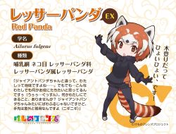Rule 34 | animal ears, gloves, highres, kemono friends, kemono friends 2, lesser panda (kemono friends), necktie, official art, shirt, skirt, tail, yoshizaki mine