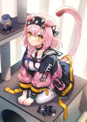 Rule 34 | 1boy, 1girl, 1other, animal ears, arknights, black bracelet, black hairband, blue bow, bow, braid, cat ears, cat girl, cat tail, cat tower, character doll, coat, collar, commentary, doctor (arknights), floppy ears, goldenglow (arknights), hair between eyes, hair ornament, hairband, hairclip, highres, infection monitor (arknights), jacket, lightning bolt print, long hair, looking at viewer, mizuki (arknights), multicolored clothes, multicolored coat, multicolored jacket, pink coat, pink hair, pink jacket, pink tail, print hairband, ria (lya s2), scottish fold, seiza, shirt, sitting, stuffed toy, tail, thighhighs, two-tone coat, two-tone jacket, white shirt, white thighhighs, yellow eyes