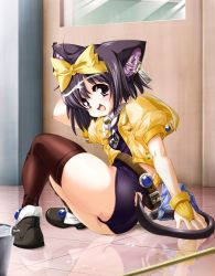 Rule 34 | animal ears, bad id, bad pixiv id, bell, black hair, black one-piece swimsuit, cat ears, cat girl, cat tail, collar, full body, highres, indoors, mahou shoujo neko x, neck bell, no pants, one-piece swimsuit, peke (mahou shoujo neko x), reflection, reflective floor, ribbon, sazanami (artist), school swimsuit, short hair, sitting, solo, swimsuit, swimsuit under clothes, tail, thighhighs