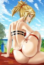 Rule 34 | arm support, ass, bikini, blue sky, bottle, braid, breasts, cloud, fate/grand order, fate (series), french braid, from behind, fuzzlogik, grass, green eyes, hair ornament, hair scrunchie, lake, looking to the side, mordred (fate), mordred (fate/apocrypha), mountainous horizon, ponytail, red bikini, red scrunchie, red towel, scrunchie, sideboob, sky, small breasts, swimsuit, thigh strap, tree, two-tone bikini, water bottle
