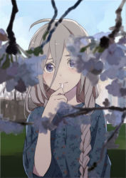 Rule 34 | 1girl, ahoge, blouse, blue eyes, blue shirt, blurry, blurry foreground, braid, cevio, flower, grey hair, hair between eyes, hechima (issindotai), ia (vocaloid), looking at viewer, outdoors, shirt, side braid, solo, vocaloid