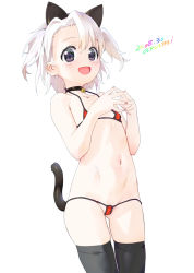 Rule 34 | animal ears, baba arumi, bell, bikini, black thighhighs, blush, cat ears, cat tail, choker, collarbone, commentary, copyright request, dated, fake animal ears, fingernails, micro bikini, navel, neck bell, open mouth, purple eyes, red bikini, signature, simple background, smile, swimsuit, tail, thighhighs, white background, white hair