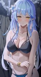 Rule 34 | 1girl, absurdres, bare arms, bare shoulders, bikini, black bikini, blue hair, blurry, blurry background, blush, bracelet, braid, breasts, cleavage, collarbone, cowboy shot, flower, hair flower, hair ornament, half updo, halterneck, highres, hololive, jewelry, large breasts, long hair, looking at viewer, multi-strapped bikini, multicolored hair, parted lips, pointy ears, raised eyebrows, sidelocks, solo, straight hair, streaked hair, swimsuit, virtual youtuber, wet, yamamoto (ymmt is sexy), yellow eyes, yukihana lamy