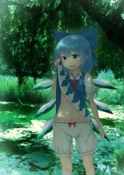 Rule 34 | 1girl, bloomers, blue bow, blue dress, blue eyes, blue hair, blush, bow, cirno, clothes lift, commentary request, dress, dress lift, feet out of frame, grass, hair bow, hand up, highres, kanpa (campagne 9), leaf, lifting own clothes, navel, neck ribbon, open mouth, outdoors, pinafore dress, puffy short sleeves, puffy sleeves, red ribbon, ribbon, ribbon trim, shirt, short hair, short sleeves, sidelocks, sleeveless dress, solo, standing, stomach, sweat, touhou, tree, underwear, white bloomers, white shirt