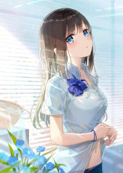 Rule 34 | 1girl, basket, blue bow, blue bowtie, blue eyes, blue flower, bow, bowtie, breasts, brown hair, button gap, buttons, collarbone, collared shirt, commentary request, dress shirt, flower, fuumi (radial engine), long hair, looking at viewer, medium breasts, navel, original, parted lips, school uniform, shirt, short sleeves, sidelocks, solo, stomach, striped bow, striped bowtie, striped clothes, striped neckwear, sunlight, upper body, white shirt, window blinds
