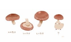 Rule 34 | ?, bird, chai (drawingchisanne), commentary request, food, food focus, looking at viewer, mushroom, no humans, original, shiitake, signature, sweets bird, translation request, white background