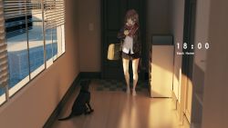 Rule 34 | 1girl, arm at side, arm up, bag, black jacket, black skirt, window blinds, blue eyes, bookshelf, boots, brown footwear, brown hair, building, closed mouth, commentary, dog, door, english commentary, evening, full body, girls&#039; frontline, highres, holding, holding shoes, indoors, jacket, long hair, long sleeves, looking at viewer, no shoes, open clothes, open jacket, pleated skirt, popped collar, red scarf, reflection, scarf, scenery, shirt, shoes, shoulder bag, sign, sign around neck, skirt, solo, st ar-15 (girls&#039; frontline), standing, sunlight, tacshojosora, text focus, thighhighs, timestamp, white shirt, white thighhighs, window, wing collar, wooden floor, zettai ryouiki