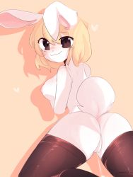Rule 34 | absurdres, carrot (one piece), furry, furry female, furry girl, highres, one piece, tagme