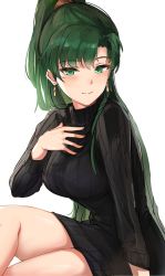 Rule 34 | 1girl, black sweater, blush, breasts, closed mouth, dress, earrings, fire emblem, fire emblem: the blazing blade, green eyes, green hair, hand on own chest, hand up, highres, jewelry, lips, long hair, long sleeves, looking at viewer, lyn (fire emblem), medium breasts, nintendo, ormille, ponytail, shiny skin, simple background, sitting, solo, sweater, sweater dress, turtleneck, white background