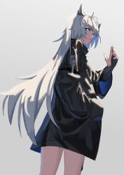 Rule 34 | 1girl, absurdres, animal ears, antenna hair, arknights, black coat, black gloves, coat, cowboy shot, from behind, gloves, grey background, grey hair, hand in pocket, highres, lappland (arknights), long hair, looking at viewer, looking back, material growth, natoriusu sansei, no tail, oripathy lesion (arknights), partially fingerless gloves, simple background, solo, very long hair, wolf ears, wolf girl, yellow eyes
