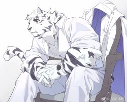 Rule 34 | 1boy, animal ears, arknights, bara, collared jacket, collared shirt, facial hair, feet out of frame, fluffy, formal, furry, furry male, goatee, highres, interlocked fingers, jacket, ju neng binggui, looking to the side, male focus, mountain (arknights), muscular, muscular male, on chair, own hands together, partially unbuttoned, pectoral cleavage, pectorals, scar, scar across eye, scar on face, shirt, short hair, sitting, sleeves rolled up, solo, suit, tail raised, thick eyebrows, tiger boy, tiger ears, unworn jacket, watch, white fur, white hair, white suit, wristwatch