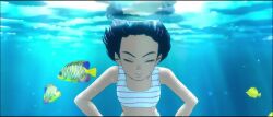 Rule 34 | 1girl, air bubble, animated, black hair, bubble, blowing bubbles, children of the sea, fish, highres, kaiju no kodomo, mouth under water, partially submerged, partially underwater shot, ruka (children of the sea), short hair, sound, submerged, sweatdrop, swimming, swimsuit, tagme, underwater, video, water