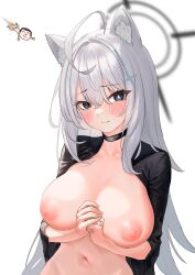 Rule 34 | 1girl, absurdres, animal ear fluff, animal ears, blue archive, blue eyes, blush, breasts, breasts out, doodle sensei (blue archive), embarrassed, grey hair, highres, large breasts, long hair, mismatched pupils, nantaru chiya, nipples, nude, own hands clasped, puffy nipples, sensei (blue archive), shiroko (blue archive), shiroko terror (blue archive), shrug (clothing), smile, wolf ears