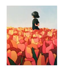 Rule 34 | 1girl, arms behind back, black hair, black shirt, border, day, facing away, field, flower, flower field, from behind, ka (marukogedago), original, outdoors, oversized clothes, oversized shirt, red flower, red tulip, shirt, short hair, short sleeves, solo, standing, tulip, white border, wide shot