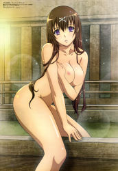 Rule 34 | 1girl, absurdres, blush, breast hold, breasts, brown hair, collarbone, female focus, highres, hyakka ryouran samurai girls, large breasts, legs, lens flare, long hair, looking at viewer, megami magazine, nipples, nude, nude filter, parted lips, purple eyes, solo, standing, thighs, third-party edit, tokugawa sen, wet