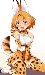 Rule 34 | 10s, 1girl, animal ears, ankle boots, bad id, bad twitter id, boots, bow, bowtie, brown eyes, commentary request, elbow gloves, eyebrows, fur collar, gloves, high-waist skirt, kemono friends, looking at viewer, nakasone haiji, open mouth, orange bow, orange bowtie, orange gloves, orange hair, orange skirt, orange thighhighs, print bow, print bowtie, print gloves, print neckwear, print skirt, print thighhighs, serval (kemono friends), serval print, serval tail, shirt, short hair, simple background, sitting, skirt, sleeveless, sleeveless shirt, smile, solo, striped tail, tail, thighhighs, wariza, white background, white footwear
