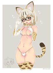 Rule 34 | 10s, 1girl, animal ears, animal print, bikini, blonde hair, blood, blush, bow, breasts, cat ears, cat tail, elbow gloves, glasses, gloves, highres, kemono friends, looking at viewer, margay (kemono friends), margay ears, margay print, margay tail, medium breasts, mudou eichi, navel, nosebleed, rockhopper penguin (kemono friends), short hair, simple background, solo, standing, stomach, sweatdrop, swimsuit, tail, thighhighs, white bikini, yellow eyes