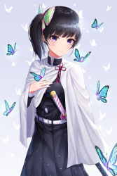Rule 34 | 1girl, absurdres, black hair, black jacket, black skirt, blue background, blush, bug, butterfly, butterfly hair ornament, cape, closed mouth, gradient background, hair ornament, highres, insect, jacket, katana, kimetsu no yaiba, long hair, long skirt, long sleeves, pleated skirt, purple eyes, ryon y0421, sheath, sheathed, side ponytail, skirt, smile, solo, standing, sword, tsuyuri kanao, weapon, white background, white cape