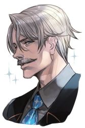 Rule 34 | 1boy, black jacket, blue eyes, blue necktie, collared shirt, facial hair, fate/grand order, fate (series), grey hair, grey shirt, hungry clicker, jacket, james moriarty (archer) (fate), james moriarty (gray collar) (fate), looking at viewer, male focus, manly, mustache, necktie, shirt, simple background, solo, sparkle, upper body, white background, wing collar