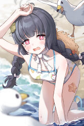 Rule 34 | 1girl, arm up, beach, bikini, bird, black hair, blue archive, blunt bangs, blurry, blush, braid, breasts, bright pupils, choker, commentary, crocs, crying, depth of field, frilled ribbon, frills, grey halo, halo, hand on own head, hat, hat on back, highres, kneeling, leaf, leaf on head, leaf print, looking at viewer, miyu (blue archive), miyu (swimsuit) (blue archive), ocean, official alternate costume, open mouth, pink eyes, print bikini, ribbon, ribbon choker, seagull, small breasts, solo, starfish, straw hat, swimsuit, twin braids, twintails, white bikini, white pupils, yeogpu (seung832222)