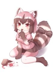 Rule 34 | 1girl, animal ear fluff, animal ears, arm support, black bow, black bowtie, black gloves, black hair, black pantyhose, black skirt, blouse, blush, bow, bowtie, candy, chocolate, chocolate heart, commentary, common raccoon (kemono friends), elbow gloves, finger to mouth, food, food in mouth, full body, fur collar, gift wrapping, gloves, heart, heart in eye, kemono friends, matsuu (akiomoi), medium hair, mouth hold, multicolored clothes, multicolored hair, multicolored legwear, pantyhose, pink hair, pleated skirt, puffy sleeves, purple shirt, raccoon ears, raccoon tail, red eyes, shirt, short sleeves, sitting, skirt, solo, symbol in eye, tail, tail bow, tail ornament, tareme, valentine, wariza, white background, white gloves, white hair, white pantyhose