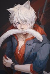 Rule 34 | 1boy, animal ears, bishounen, blue eyes, cat ears, devil may cry, devil may cry (series), devil may cry 4, hair over one eye, highres, holding, hood, jaxkydra, looking at viewer, male focus, nero (devil may cry), solo, tail, white hair