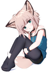 Rule 34 | 1girl, absurdres, animal ears, arknights, black collar, black pantyhose, black shorts, blue shirt, brown hair, collar, fox ears, fox tail, full body, green eyes, highres, knees up, looking at viewer, material growth, open mouth, oripathy lesion (arknights), pantyhose, pantyhose under shorts, rebaa, shirt, short hair, shorts, simple background, sitting, solo, sussurro (arknights), tail, white background, wristband