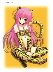 Rule 34 | 1girl, amane soh, animal ears, animal print, blush, chain, character request, collar, copyright request, highres, long hair, midriff, navel, pink hair, purple eyes, sitting, solo, tagme, tail, thighhighs, tiger print