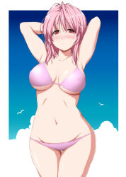 Rule 34 | 1girl, armpits, arms behind head, arms up, bare arms, bare shoulders, bikini, bird, blue sky, blush, border, breasts, cloud, collarbone, commentary request, cowboy shot, day, groin, hair between eyes, highres, large breasts, looking at viewer, navel, no headwear, nori tamago, nose blush, outdoors, outside border, pink bikini, pink hair, red eyes, saigyouji yuyuko, short hair, sky, solo, standing, stomach, swimsuit, thighs, touhou, white border
