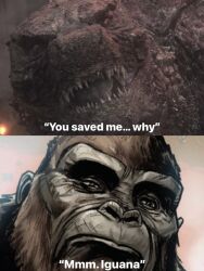 Rule 34 | 2boys, ape, artist request, claws, crossover, english text, giant, giant monster, godzilla, godzilla (series), godzilla vs. kong, godzilla x kong: the new empire, gorilla, injury, kaijuu, king kong, king kong (series), legendary pictures, looking at another, meme, meme attire, monster, monsterverse, multiple boys, no humans, no pupils, sharp teeth, simple background, teeth, toho, yellow eyes
