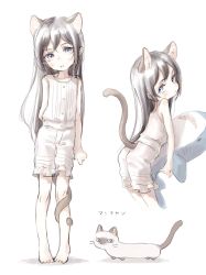 Rule 34 | 1girl, animal, animal ears, arms behind back, ass, blue eyes, blush, cat, cat ears, cat tail, child, extra ears, female focus, frilled shorts, frills, from behind, head tilt, highres, long hair, looking at viewer, looking back, nenena, original, shorts, silver hair, simple background, standing, stuffed animal, stuffed shark, stuffed toy, tail, tail wrap, white background