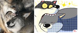 Rule 34 | :3, animal focus, animated, animated gif, border, flipnote studio (medium), keke (kokorokeke), looping animation, no humans, original, photo-referenced, photo inset, red eyes, signature, smile, sparkle, white border, wide-eyed, wolf