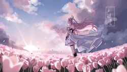 1girl alternate_costume angel_yoko bare_shoulders blue_sky closed_mouth cloud cloudy_sky commentary dress elysia_(herrscher_of_human:_ego)_(honkai_impact) elysia_(honkai_impact) english_commentary falling_petals field flower flower_field full_body highres honkai_(series) honkai_impact_3rd legs long_hair outdoors petals pink_flower pink_hair pink_tulip sky solo standing sunset tulip white_dress