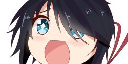Rule 34 | + +, 10s, 1girl, black hair, blue eyes, close-up, hair ornament, hair over one eye, hairclip, kako (kancolle), kantai collection, long hair, looking at viewer, messy hair, nahaki, no nose, open mouth, parted bangs, ponytail, portrait, simple background, sin-poi, solo, sparkling eyes, symbol-shaped pupils, white background