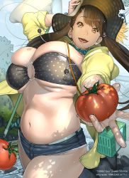 Rule 34 | 1girl, absurdres, arm up, bandeau, belly, breasts, brown hair, butterfly net, cowboy shot, dated, denim, denim shorts, foreshortening, gundam, gundam build fighters, hand net, hat, highres, huge breasts, jewelry, kotoyoshi yumisuke, long hair, looking at viewer, necklace, o-ring, o-ring top, outdoors, plump, raised eyebrows, revision, round teeth, sazaki kaoruko, short shorts, shorts, skindentation, sleeves rolled up, smile, solo, stuffed toy, teeth, thick thighs, thighs, tomato, tongue, twintails